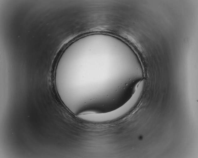 X0000096391308200802211133
