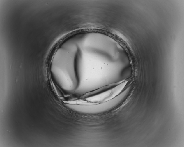 X0000096391310200802211133