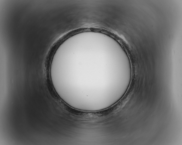 X0000096391311200802211133