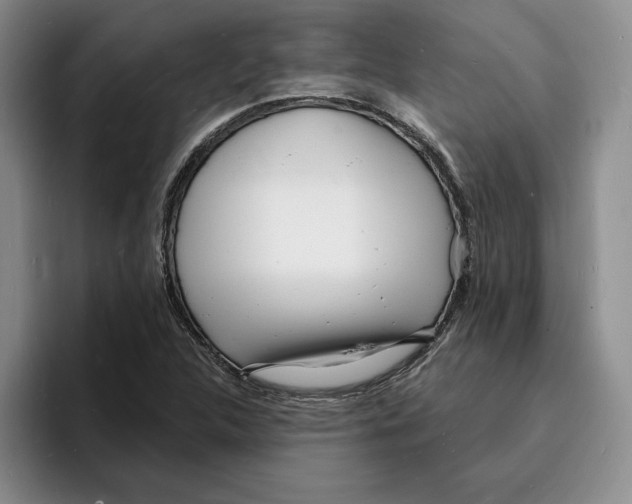 X0000096391312200802211133