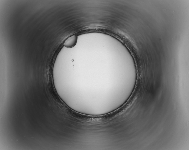 X0000096391313200802211133