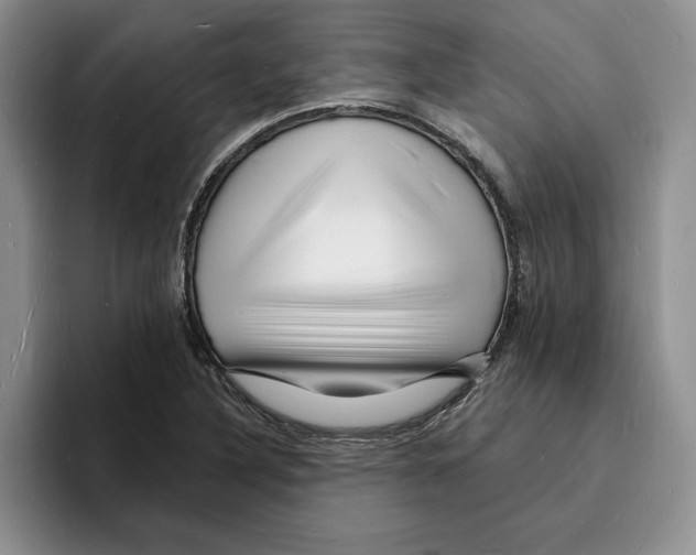 X0000096391316200802211133