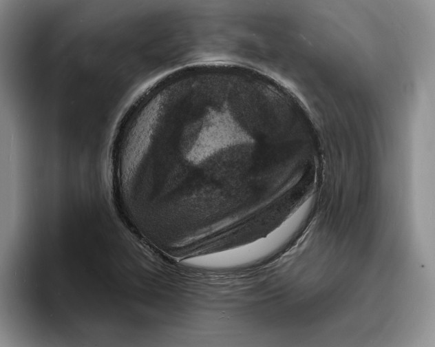 X0000096391319200802211133