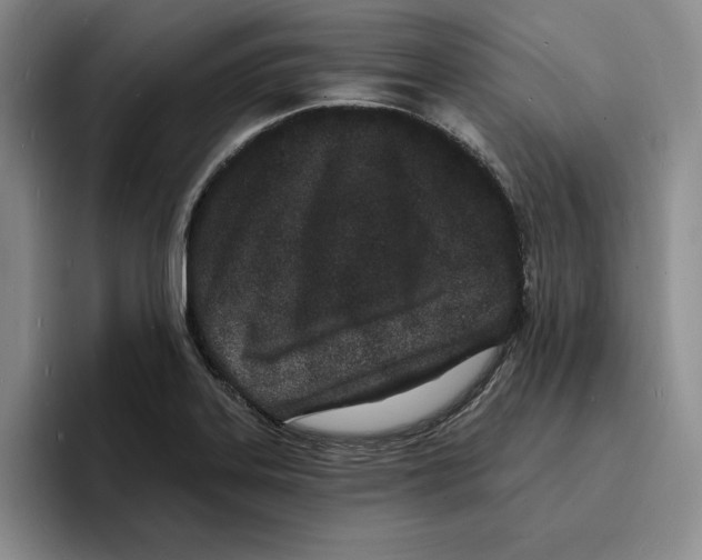 X0000096391323200802211133