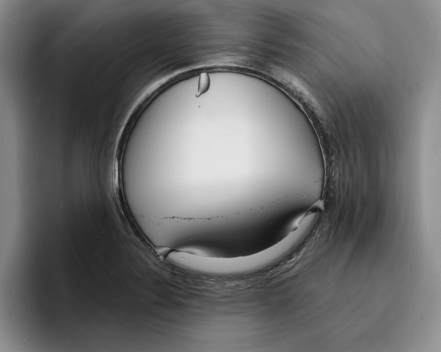 X0000096391324200802211133