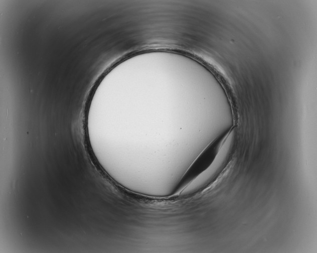 X0000096391325200802211133