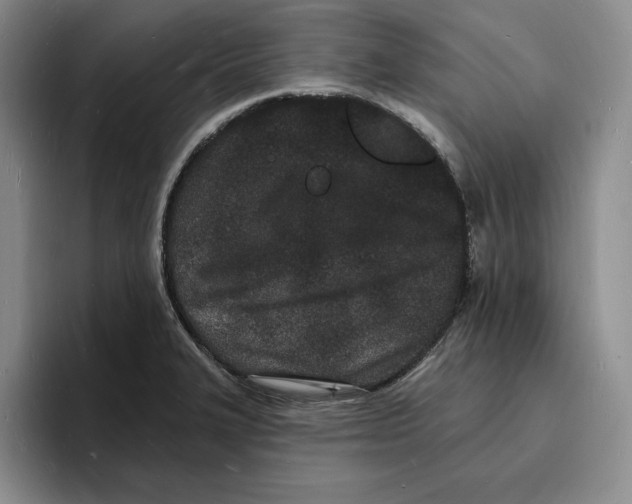 X0000096391327200802211133