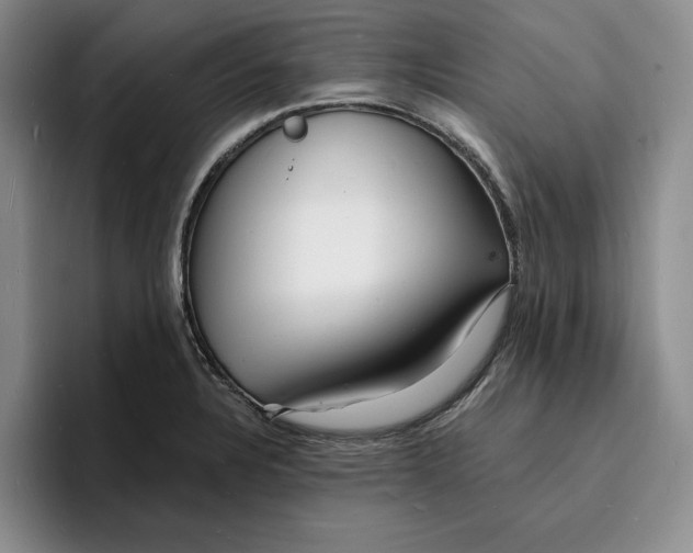 X0000096391328200802211133