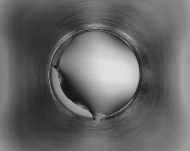 X0000096391330200802211133