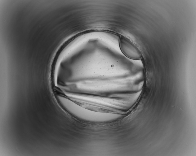 X0000096391331200802211133