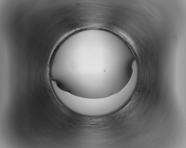 X0000096391332200802211133