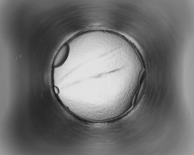 X0000096391333200802211133