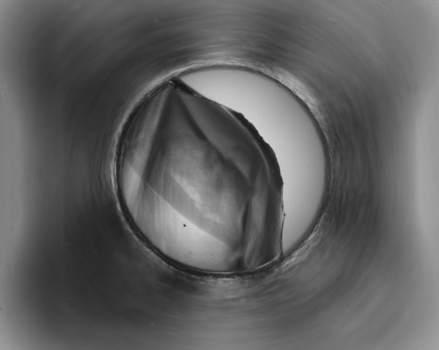 X0000096391334200802211133