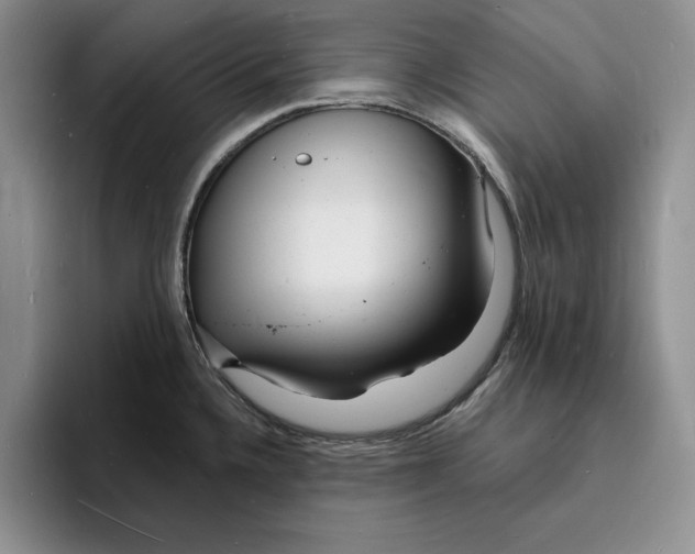 X0000096391336200802211133