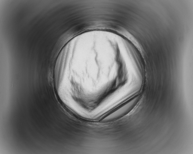 X0000096391337200802211133
