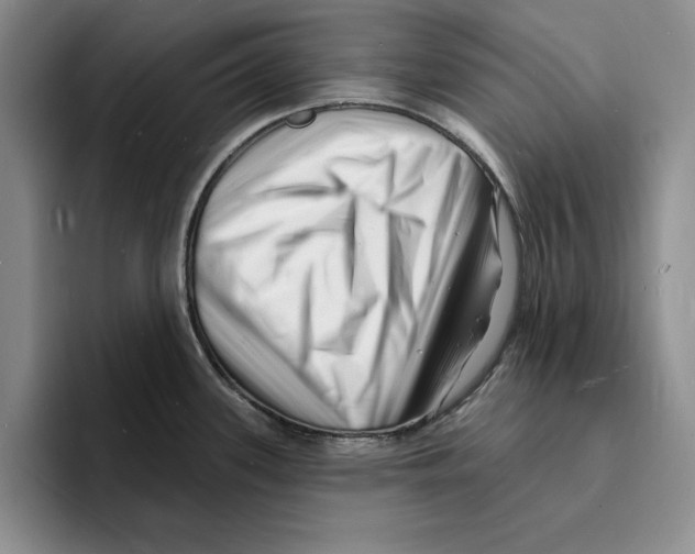 X0000096391339200802211133