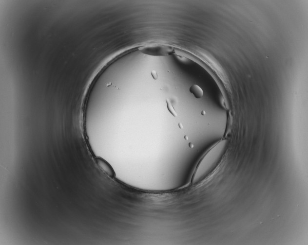 X0000096391340200802211133
