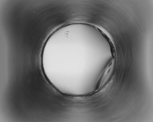 X0000096391341200802211133