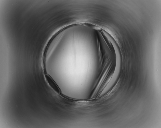 X0000096391342200802211133