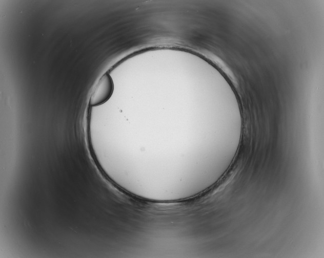 X0000096391343200802211133