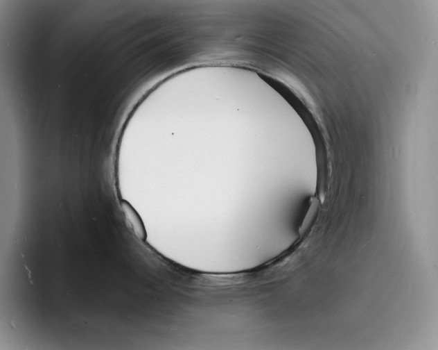 X0000096391344200802211134