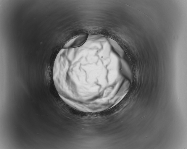 X0000096391346200802211133