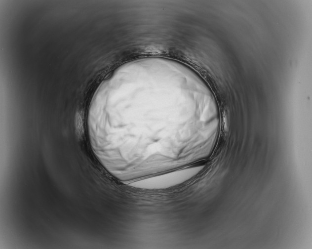 X0000096391347200802211133