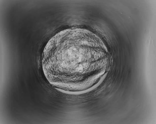 X0000096391348200802211133