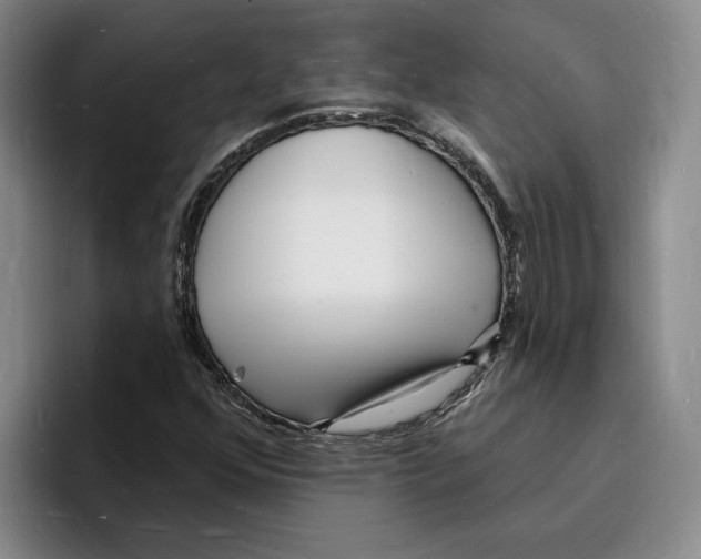X0000096391352200802211133