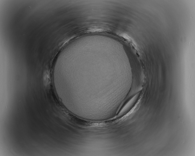 X0000096391353200802211133