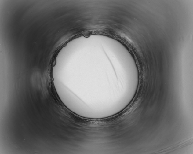 X0000096391354200802211133