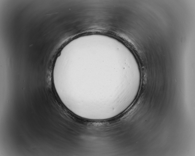 X0000096391355200802211133