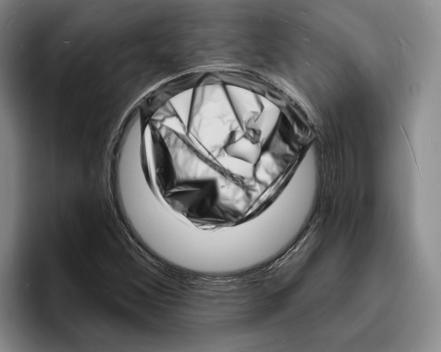 X0000096391356200802211133