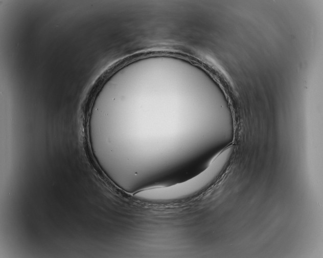 X0000096391360200802211133