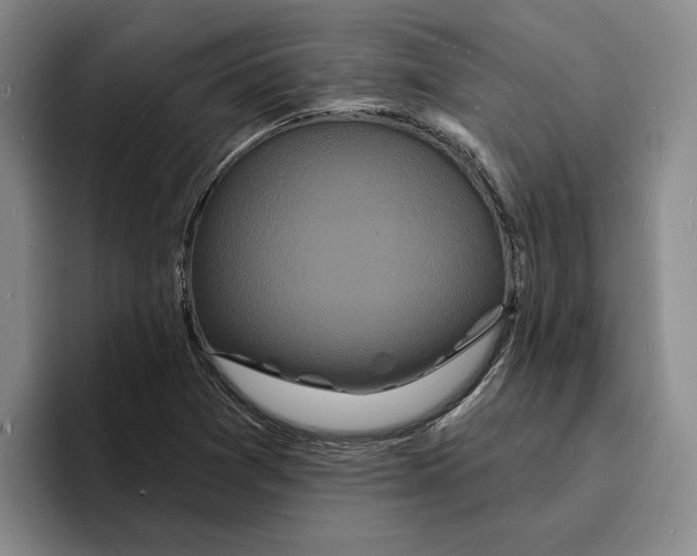 X0000096391361200802211133