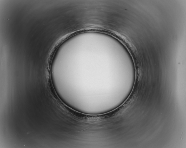 X0000096391363200802211133