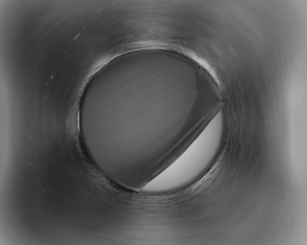 X0000096391365200802211133
