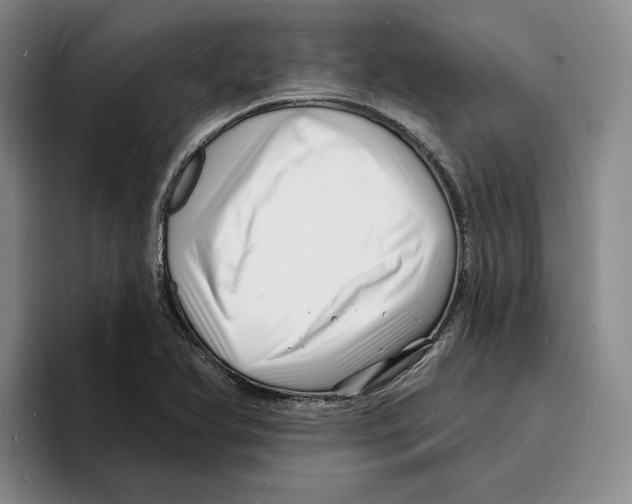 X0000096391366200802211133