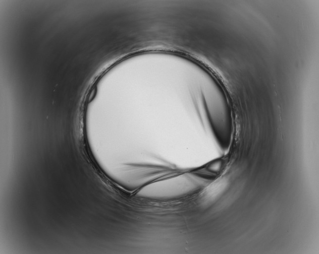 X0000096391367200802211133