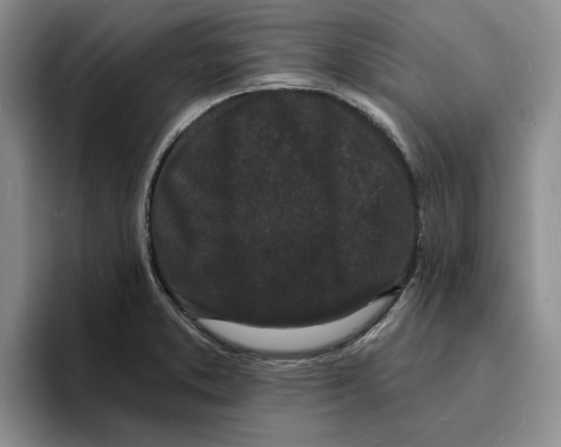 X0000096391373200802211133
