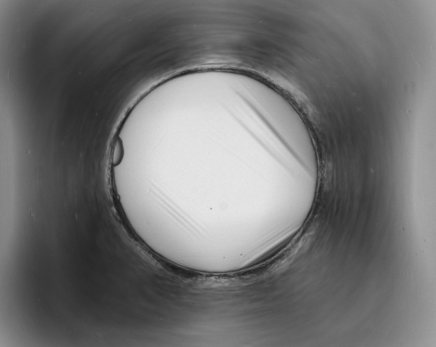 X0000096391374200802211133