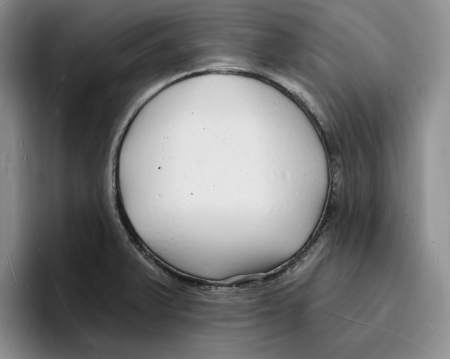 X0000096391375200802211133