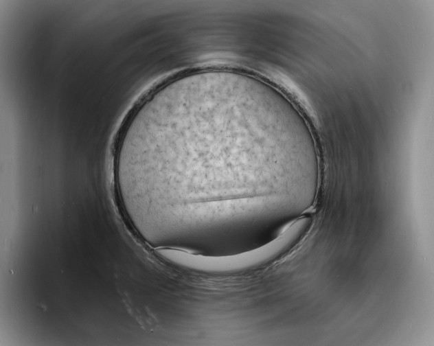 X0000096391376200802211132