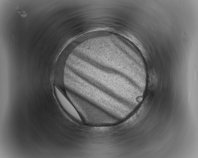 X0000096391377200802211132