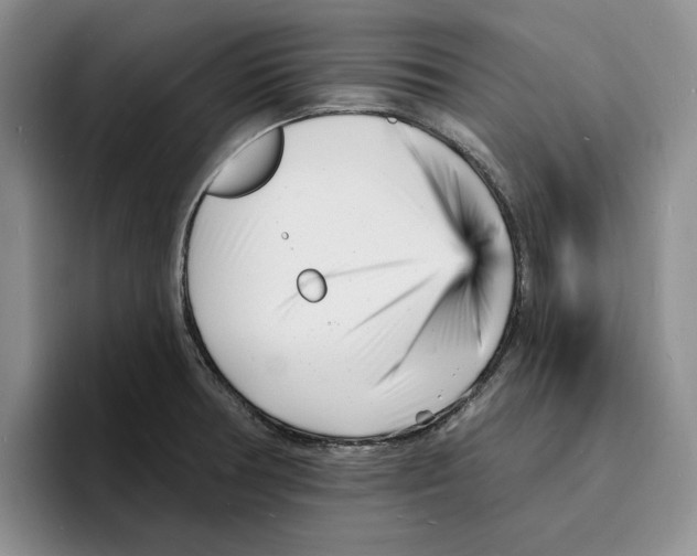 X0000096391378200802211132