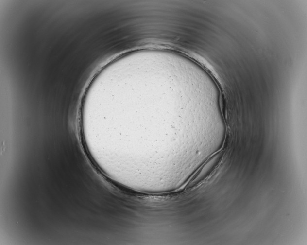 X0000096391379200802211132