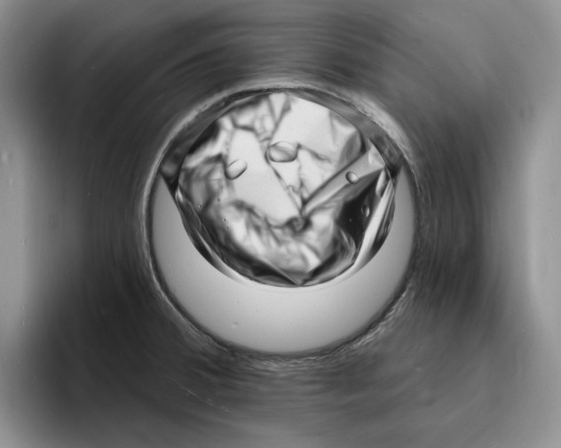 X0000096391380200802211132