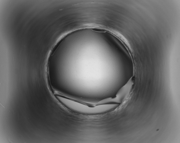 X0000096391381200802211132