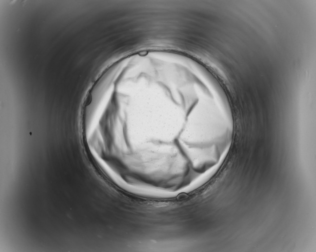X0000096391382200802211132