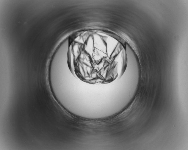 X0000096391384200802211132